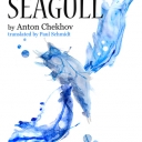 The Seagull by Anton Chekhov 